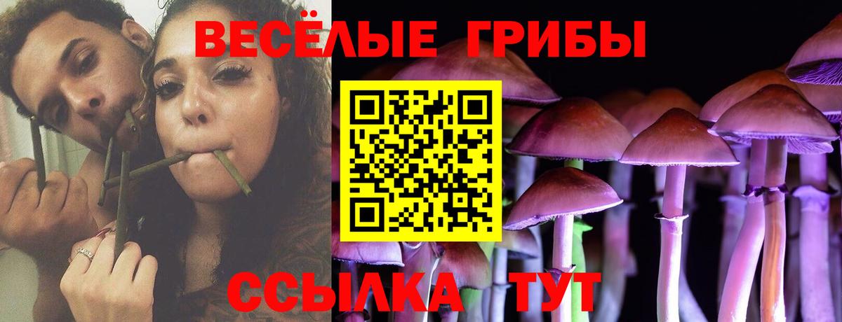 Псилоцибиновые грибы Psilocybe Серов